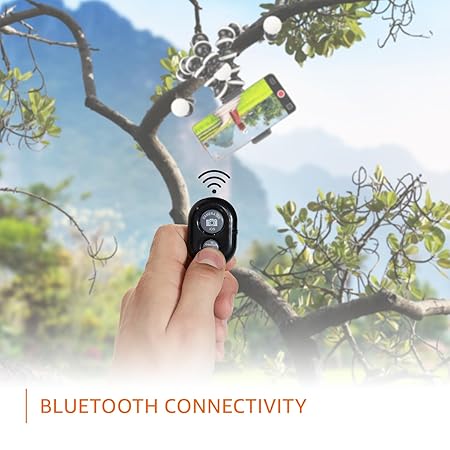 Bluetooth remote