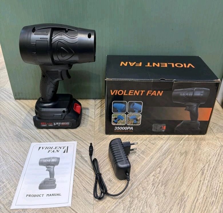Violent fan