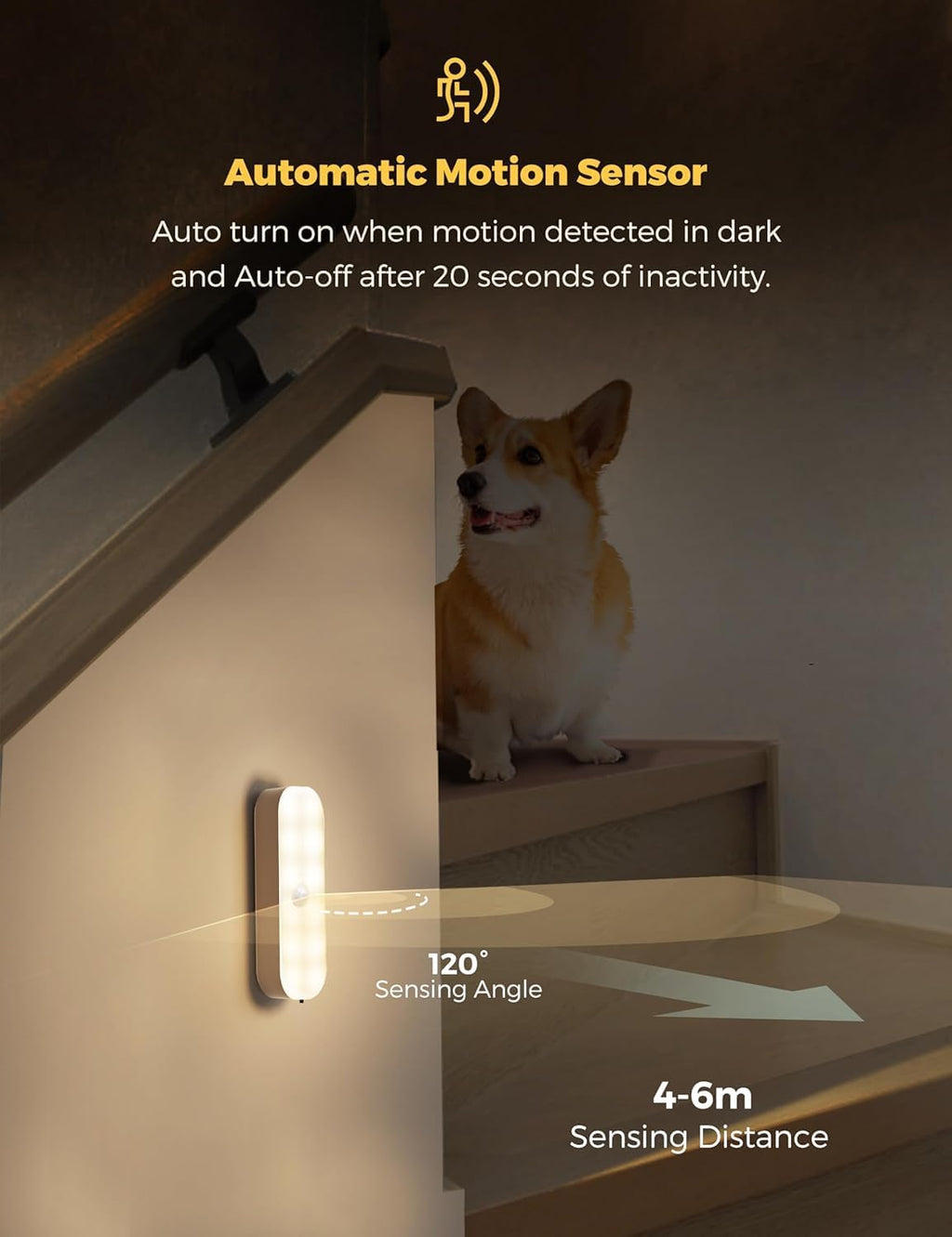 Sensor light