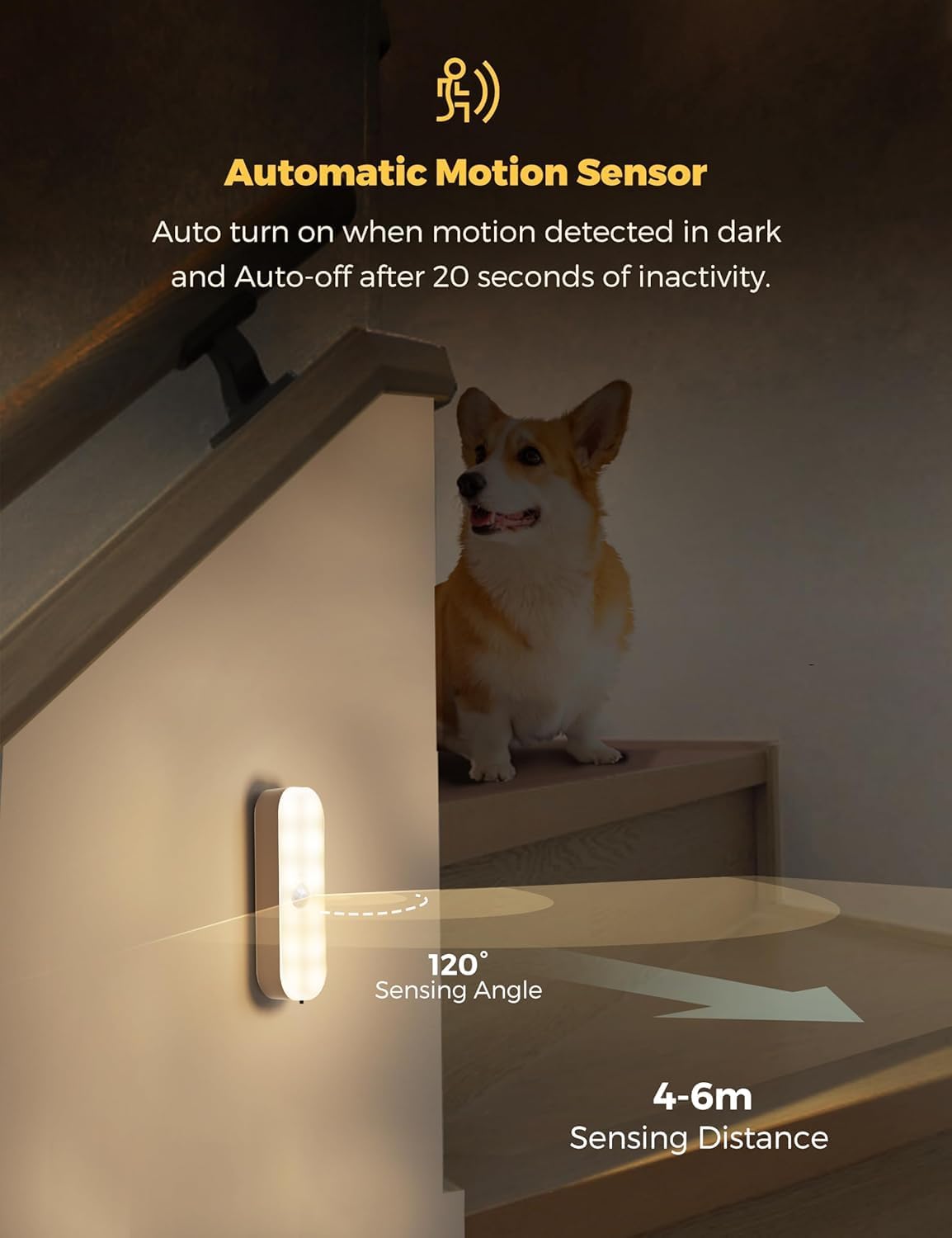 Sensor light